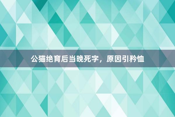 公猫绝育后当晚死字，原因引矜恤